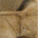 middle_left