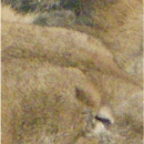 middle_center