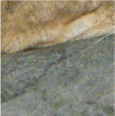 bottom_center