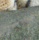 bottom_right